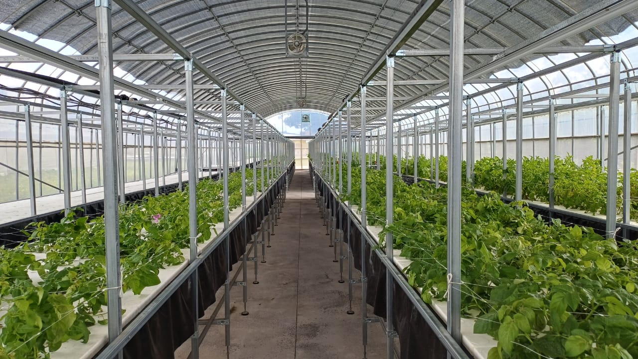 Agricultura sostenible